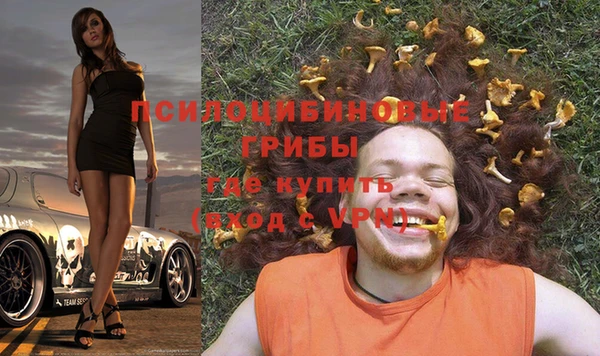 прущие грибы Ладушкин
