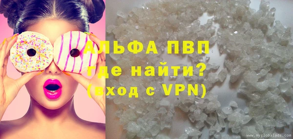 прущие грибы Ладушкин
