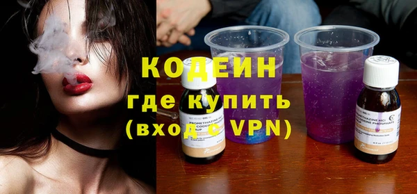 прущие грибы Коряжма